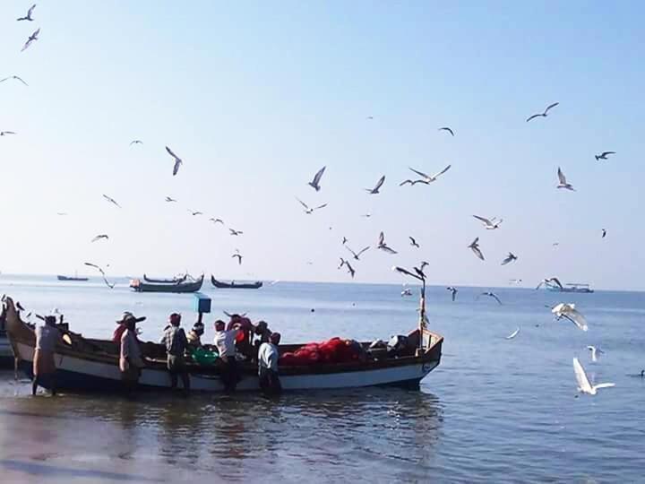 Sea Breeze Homestay Alappuzha